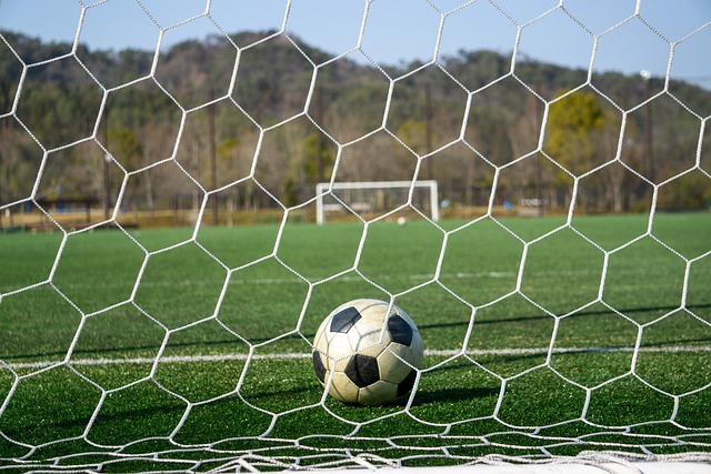 结语部分已 结语部分已