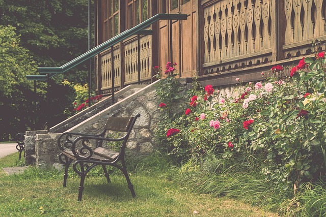 管理层似乎 管理层似乎