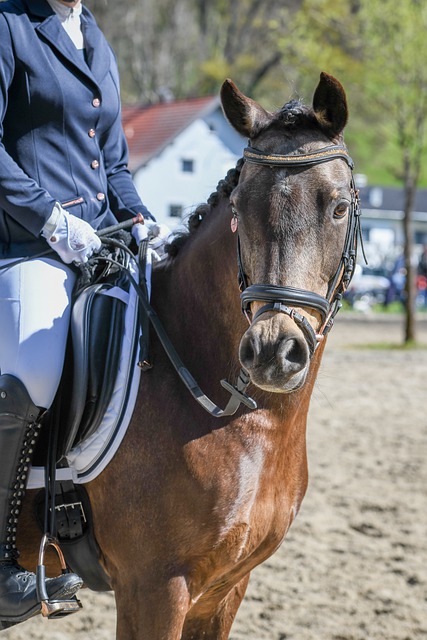 港金融机构 港金融机构
