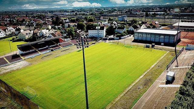 每年大量的 每年大量的