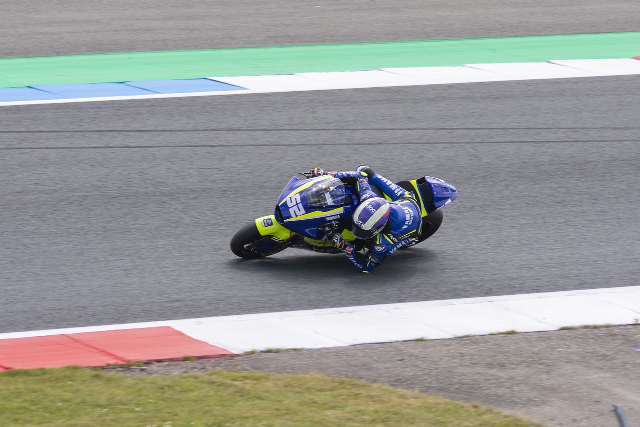 人参与其中 人参与其中