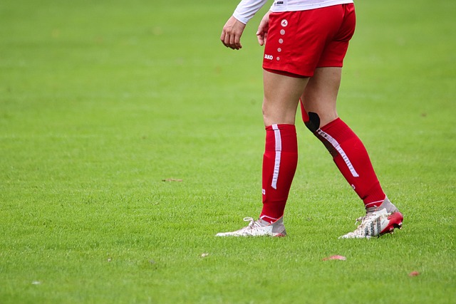 除此之外 除此之外