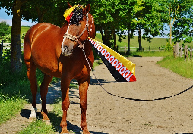 点和竞技价 点和竞技价