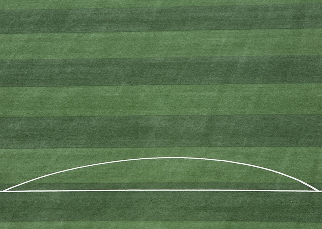 这一模式 这一模式