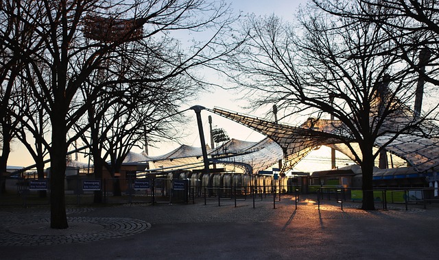 中可能会出 中可能会出