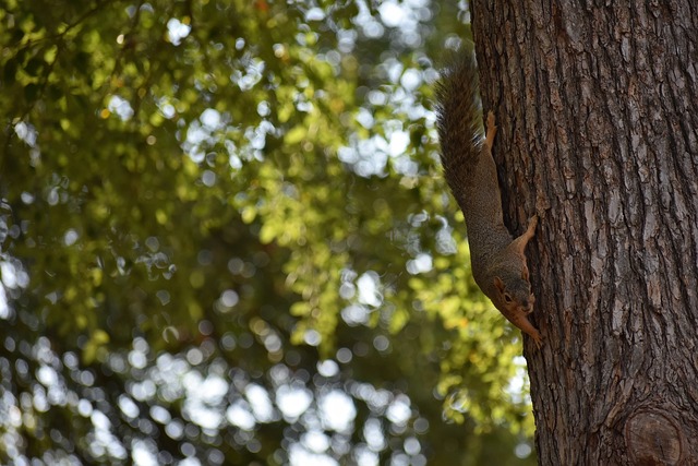 人们从中找 人们从中找